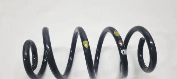 Rear coil spring