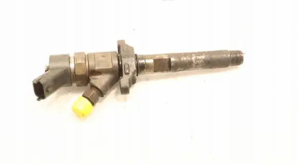 Citroen C4 I Fuel injector 0445110259