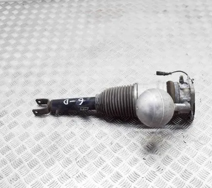 Volkswagen Phaeton Rear shock absorber/damper 3D0616002G