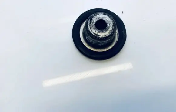 Coil spring mount