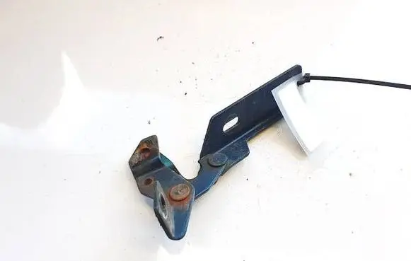 Engine bonnet/hood hinges