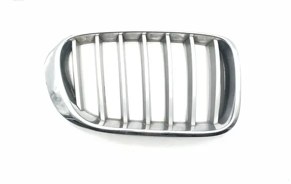 BMW X3 F25 Front grill 7210726