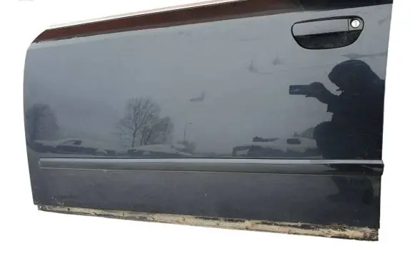 Audi A4 S4 B6 8E 8H Front door