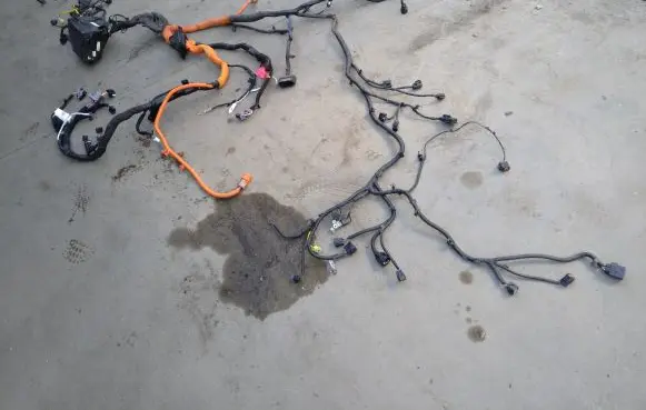 Hyundai Kona I Other wiring loom 2519C24196 91206K4972