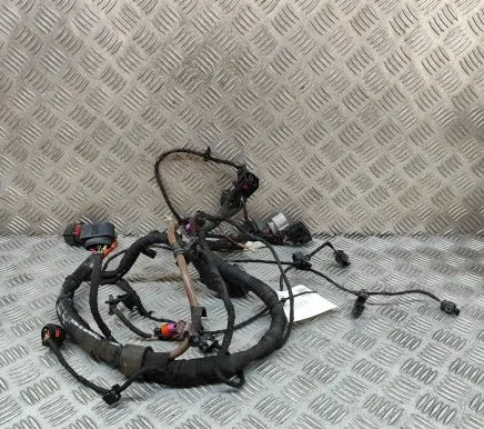 Other wiring loom
