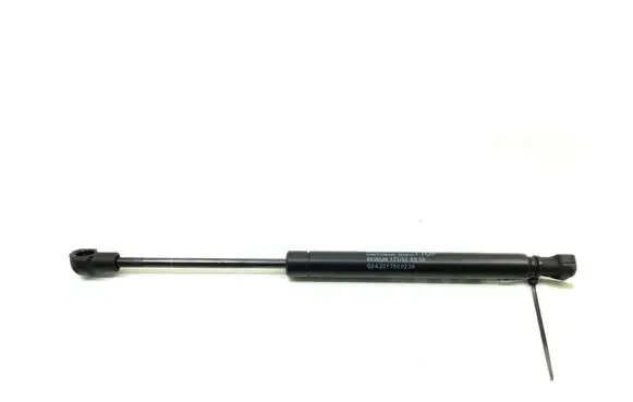 Tailgate strut