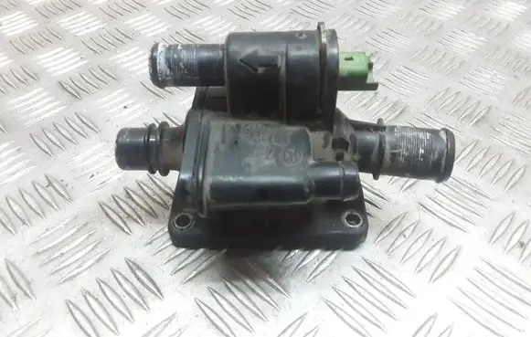 Thermostat/thermostat housing