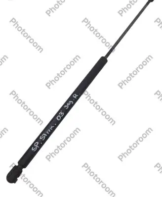 Tailgate/trunk strut/damper