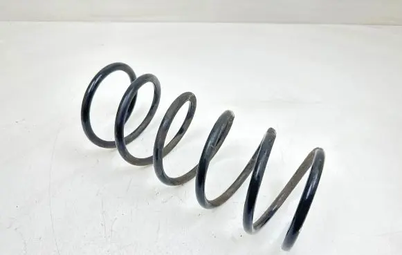 Front coil spring