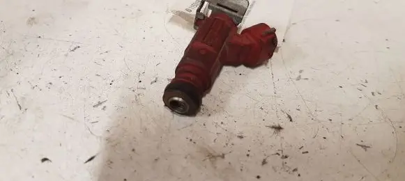 Nissan Almera N16 Fuel injector 0260155940 166009F600