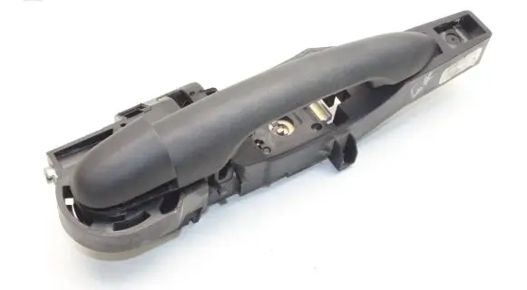 Renault Kangoo III Front door exterior handle 8200497521