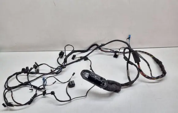 BMW 7 F01 F02 F03 F04 Front door wiring loom 9197633