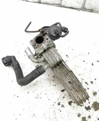 Skoda Octavia Mk2 (1Z) EGR valve cooler 03G131513AD