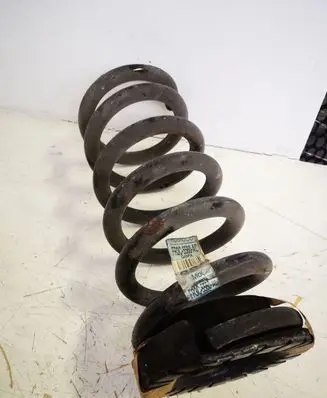 Ford Mustang VI Rear coil spring FR3C5560AC