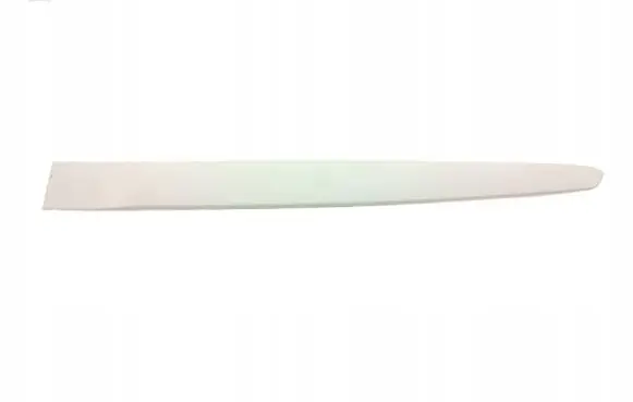 Fiat Stilo Rear door trim (molding) 71743530