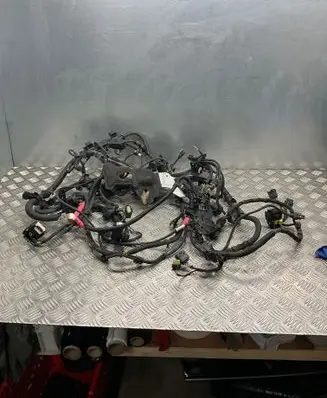 BMW 4 F36 Gran coupe Engine installation wiring loom 8482370 B4B965129