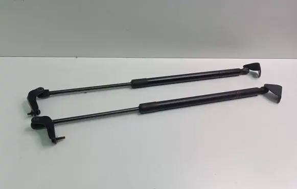 Nissan Murano Z52 Tailgate/trunk strut/damper 