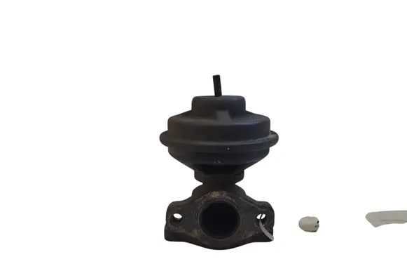 Hyundai Trajet EGR valve