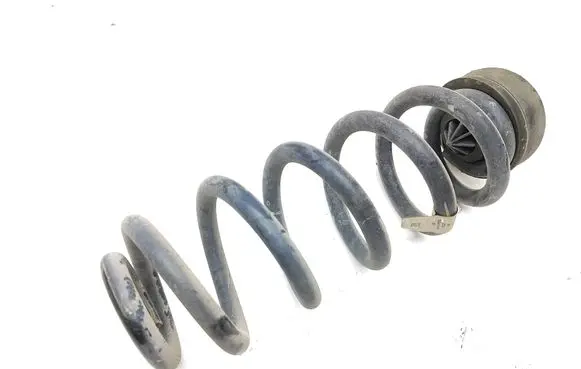 Rear coil spring