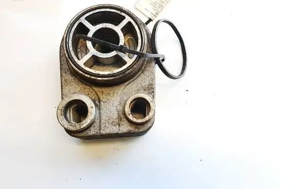Nissan Qashqai+2 Engine oil radiator 779744