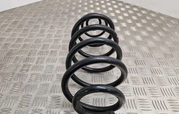 Rear coil spring