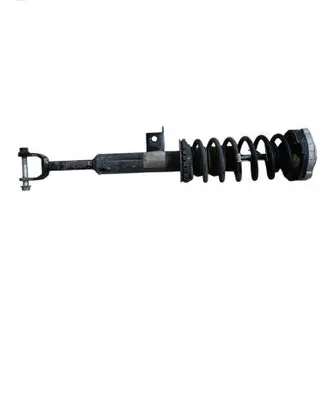 BMW 5 F10 F11 Front shock absorber with coil spring