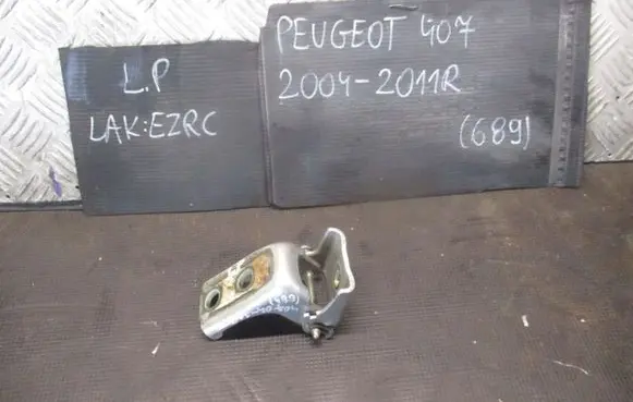 Peugeot 407 Loading door hinge set 