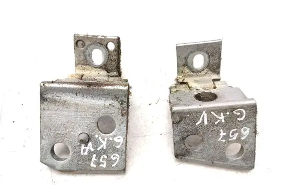 Citroen Xsara Picasso Rear door hinge set 