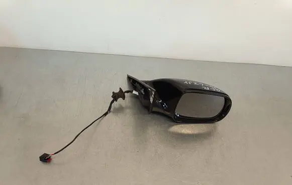 Audi Q5 SQ5 8R Front door electric wing mirror E1021006