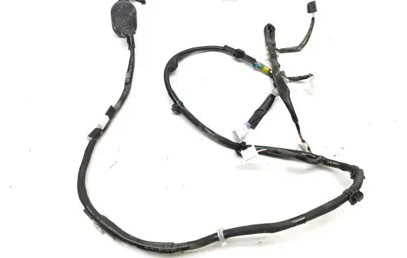 Lexus IS III XE30 Rear door wiring loom 8215453150F