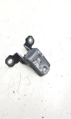 Renault Latitude (L70) Rear door lower hinge