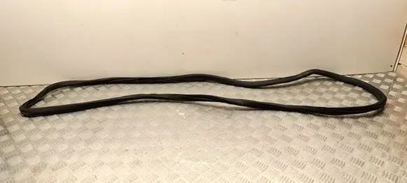 Opel Crossland X Front door rubber seal 392080587