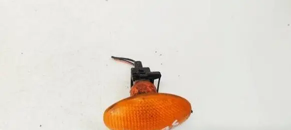 Front fender indicator light