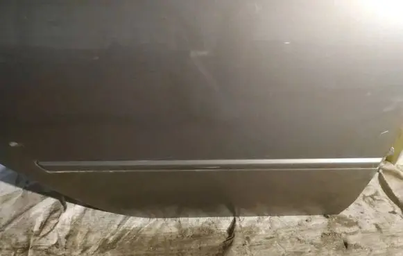 Hyundai Sonata Rear door trim (molding)