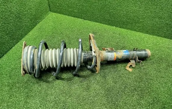 Renault Koleos II Front shock absorber with coil spring 543036444R 824903015419