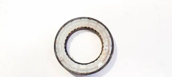 Coil spring mount