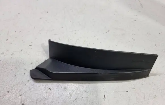 Rear/tail light trim molding