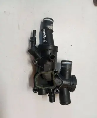 Thermostat/thermostat housing
