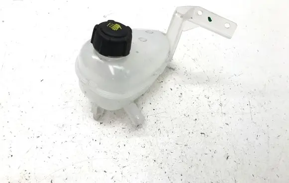 Renault Scenic E-Tech V Coolant expansion tank/reservoir 217115810R