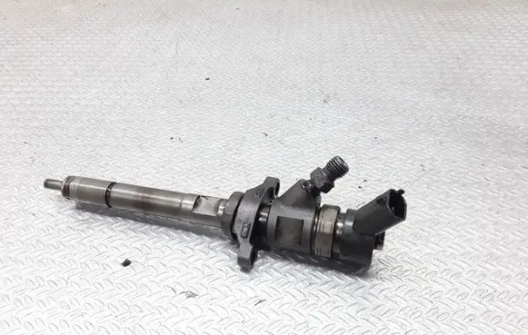 Citroen C5 Fuel injector 0445110259