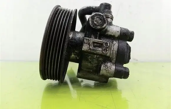 Hyundai Matrix Power steering pump 