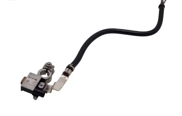 Ford Kuga II Negative earth cable (battery) F1FT10C679CB
