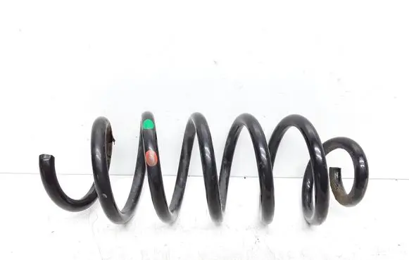 Rear coil spring