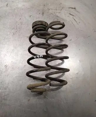 Rear coil spring