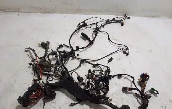Other wiring loom