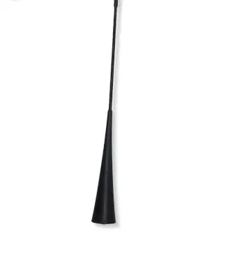 Ford Mustang V Radio antenna FD1316662 AR3Z18813A