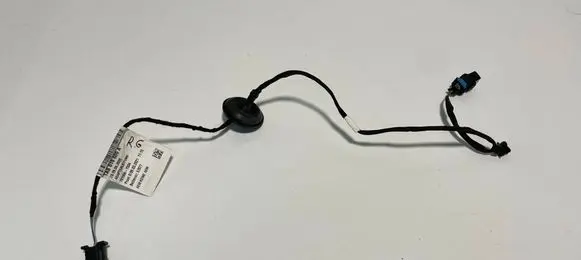 Rear door wiring loom