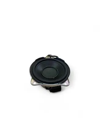 Front door high frequency speaker