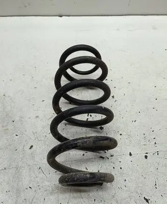 Rear coil spring