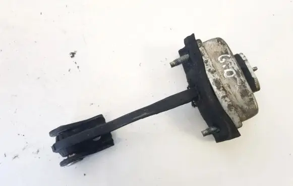Ford Focus C-MAX Rear door check strap stopper